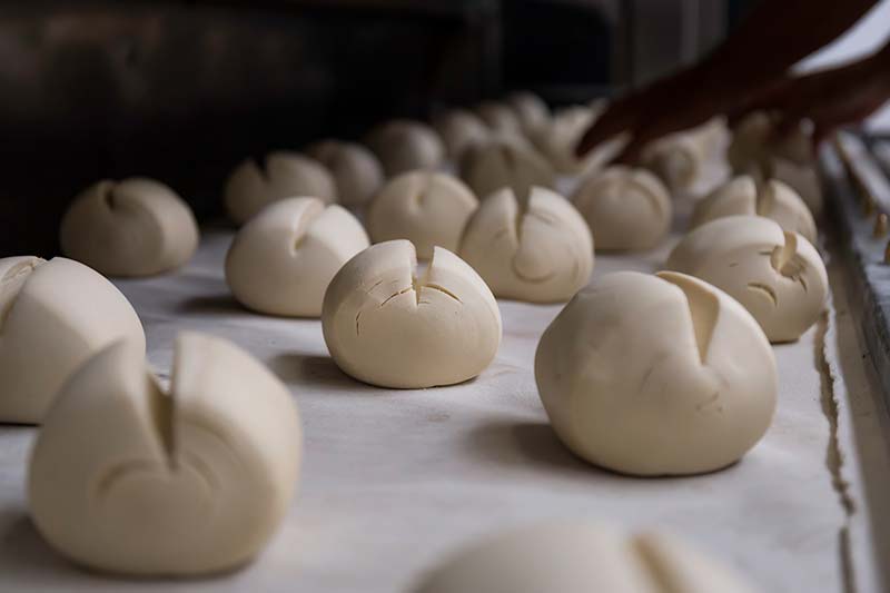Micche di parma prendono il freddo, prima di fiorire in forno.